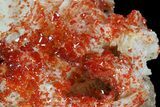 Red Vanadinite Crystal Cluster - Morocco #38528-1